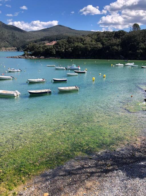 Sokaire De Urdaibai Junto A Mundaka Lejlighed Sukarrieta Eksteriør billede